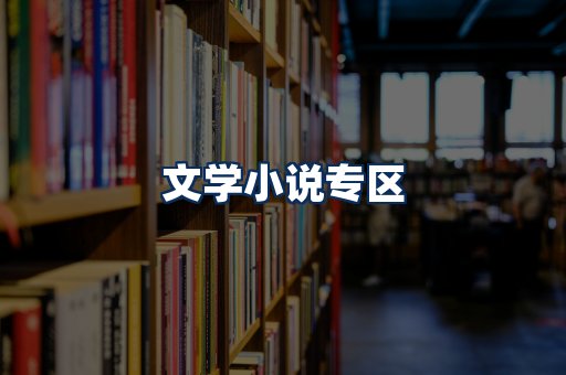 文学小说PDF展示